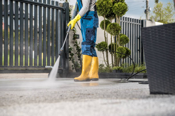 Best Building Exterior Washing  in Chinook, MT